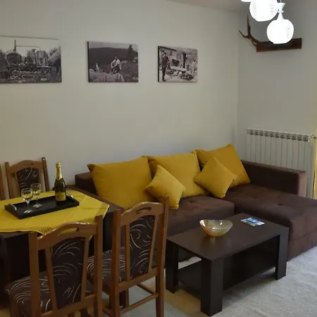 Natasa 科帕奥尼克