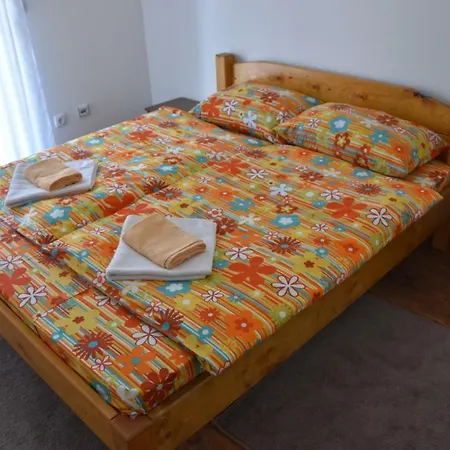 Natasa 科帕奥尼克