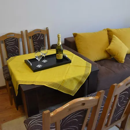 Natasa * 科帕奥尼克