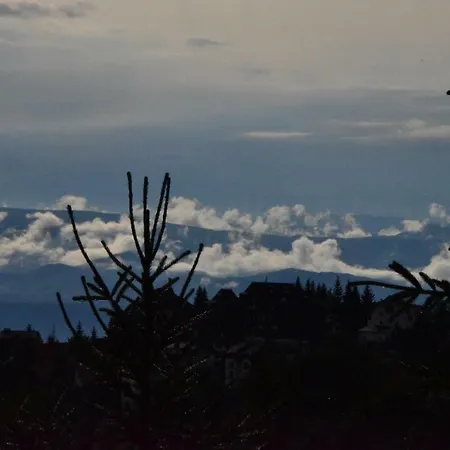 公寓 Natasa 科帕奥尼克