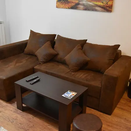 公寓 Natasa 科帕奥尼克